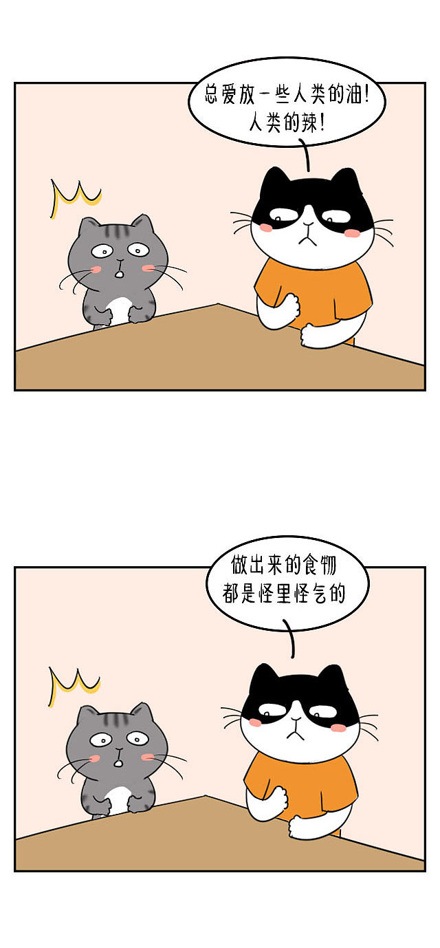 喵星人的蛇精病世界,我们凡人越来越搞不懂了...