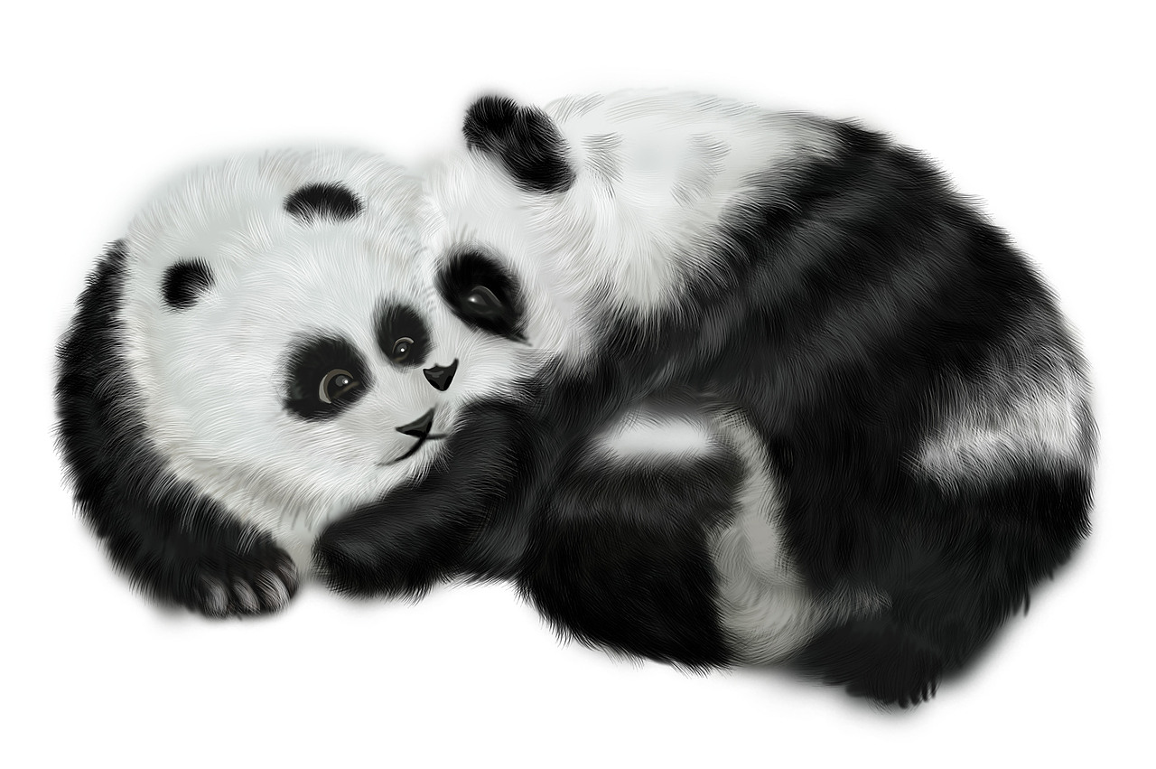 熊猫（图ZNTEzOTI0NjA=） - 商业插画 - 站酷设计师卡木西原创素材 - 站酷ZCOOL
