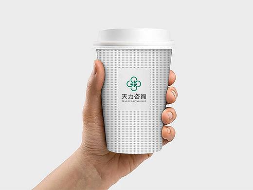 天力咨询公司logo设计-苏州logo设计公司-极地视觉