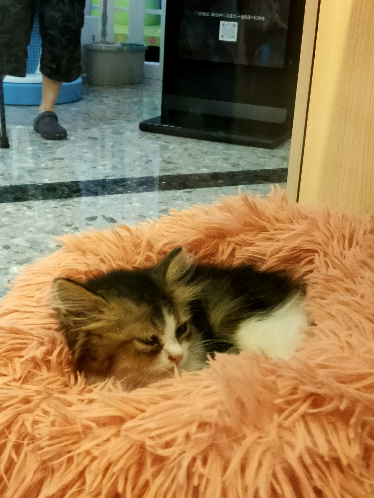 #定格# 生活的小东西