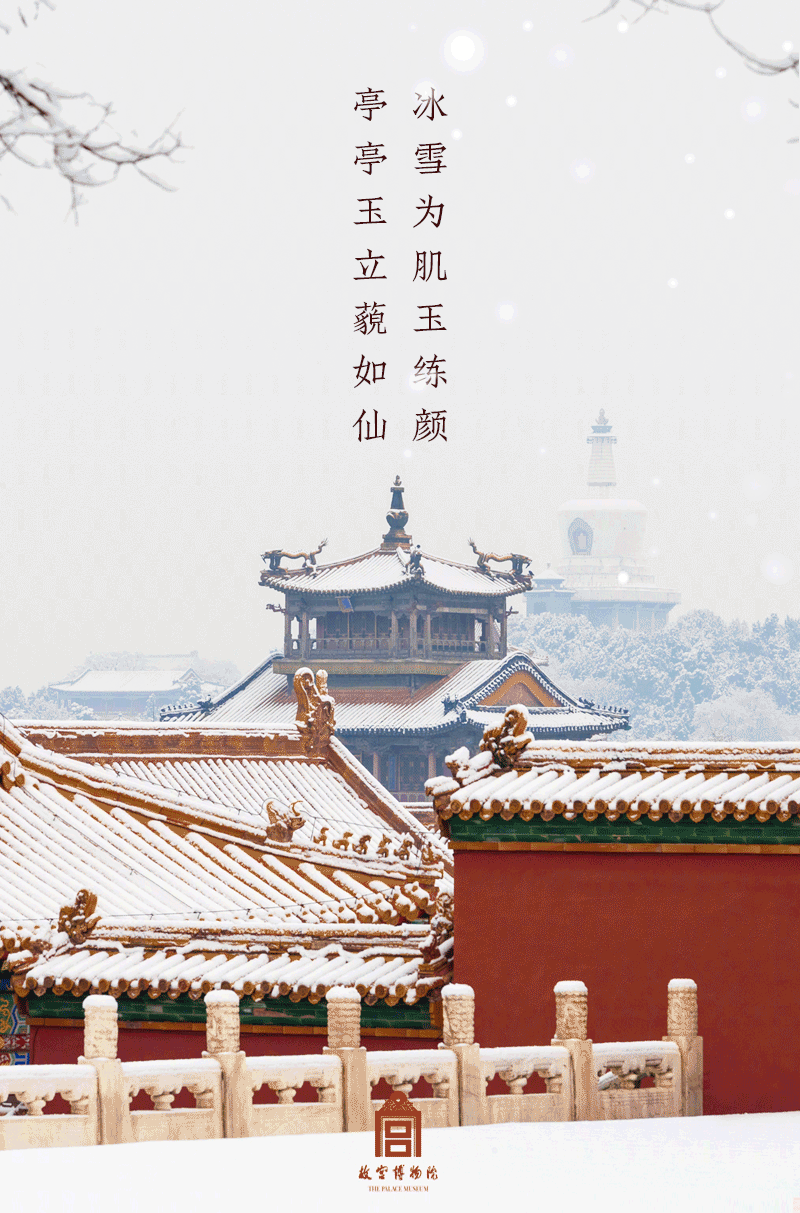 开始动图尝试~~