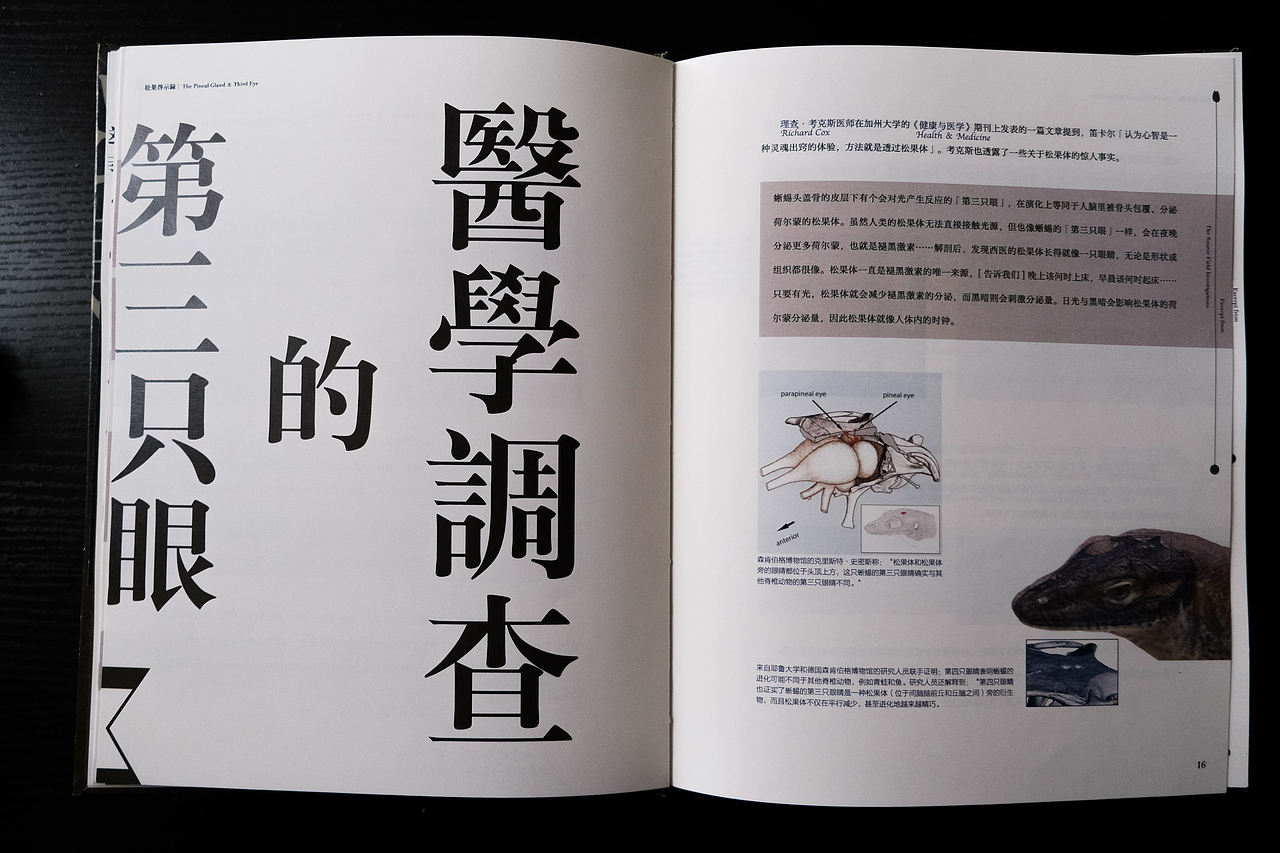 「松果启示录」书籍装帧设计 | 节选自《源场》（图ZMjQ3NDU5Nzk2） - 书籍/画册 - 站酷设计师龍柏原创素材 - 站酷ZCOOL