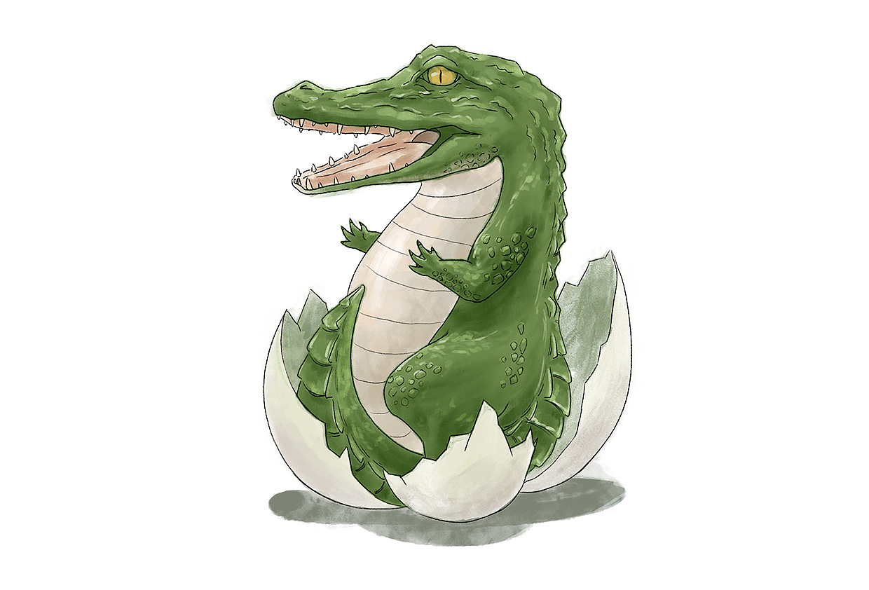 动物百科绘本之鳄鱼