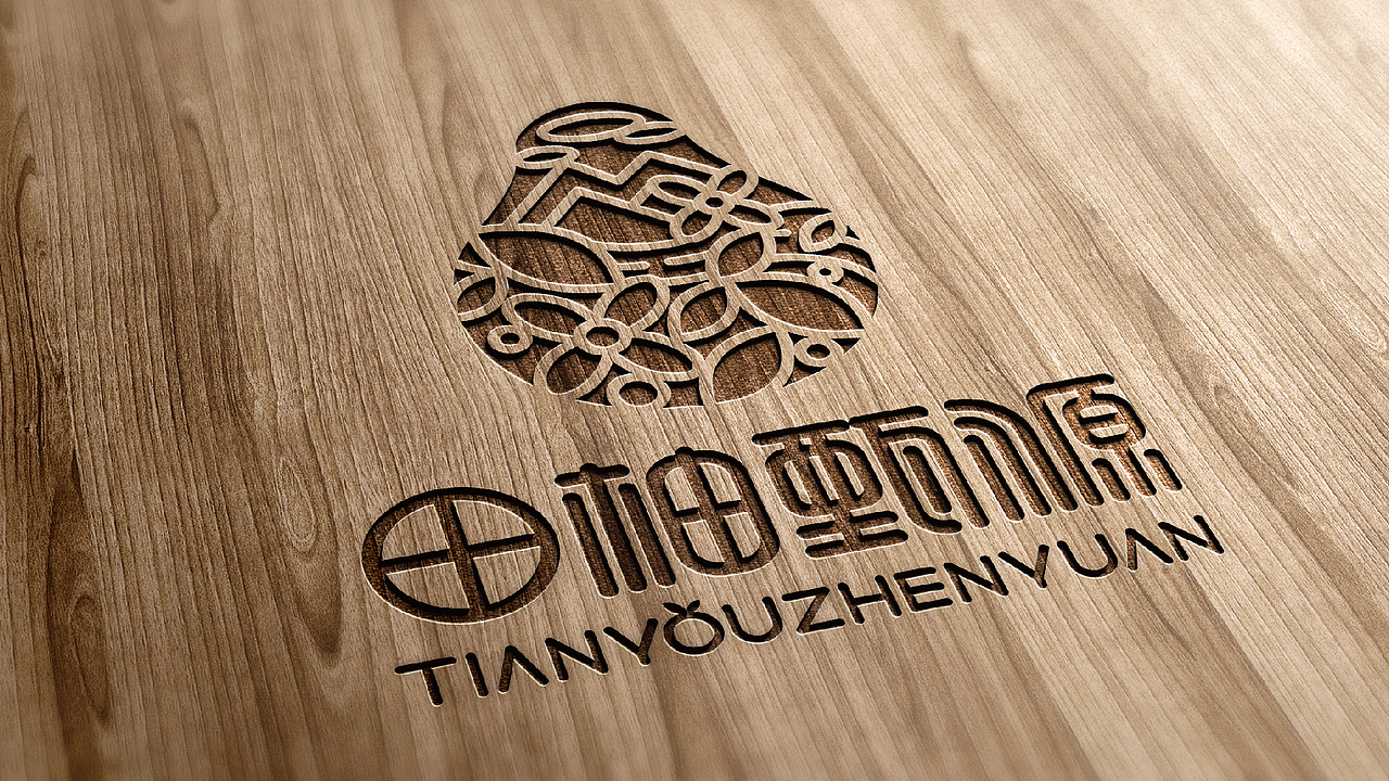 田柚甄源logo设计提案-飞机稿（图ZMTc1MTY1OTM2） - Logo - 站酷设计师黑璞设计原创素材 - 站酷ZCOOL