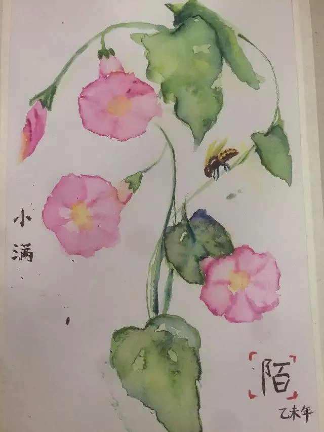 清新（图ZMjk3NTYwODA=） - 创作习作 - 站酷设计师佐小陌原创素材 - 站酷ZCOOL
