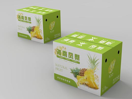 一组海南热带水果外包装设计