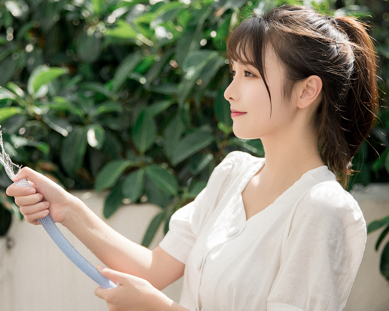 炎炎夏日，清凉一下_大千Gz站酷ZCOOL