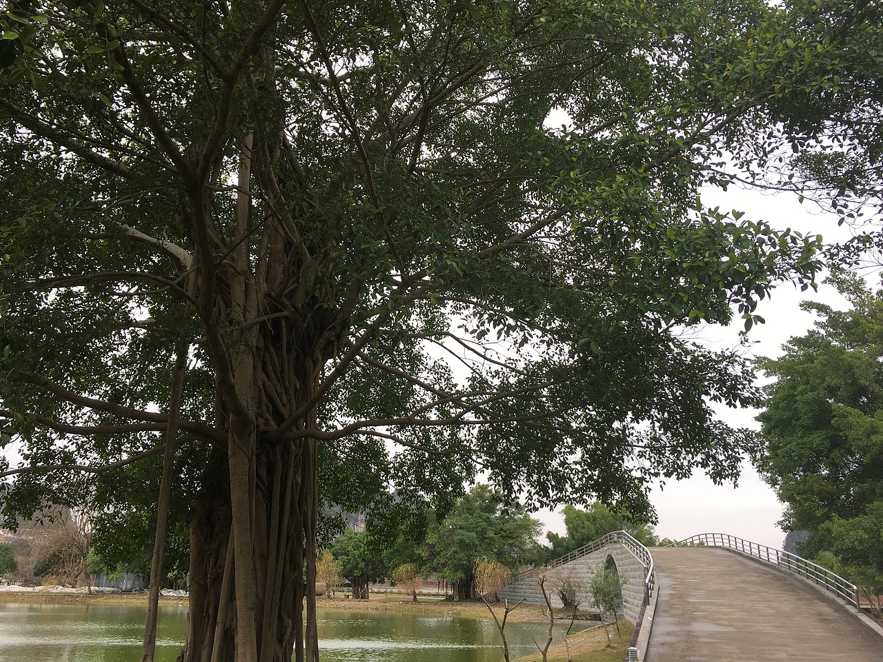 桂林摄影集（图ZMTkxOTI3NjU2） - 环境/建筑摄影 - 站酷设计师月晗1原创素材 - 站酷ZCOOL