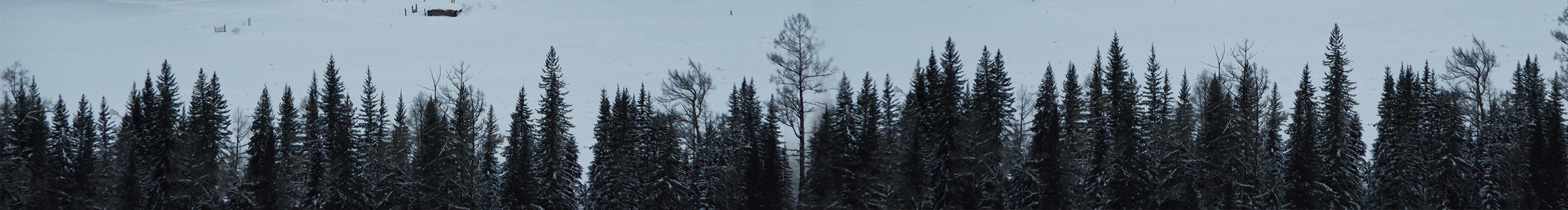 Ajie潔的個人主頁（封面預(yù)覽） - 主頁封面設(shè)置 - 站酷設(shè)計師Ajie潔原創(chuàng)素材 - 站酷ZCOOL