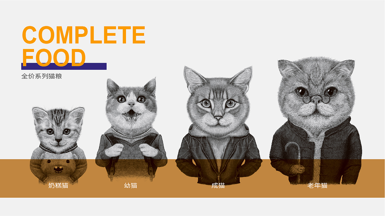 晨狮原创设计丨安贝(安诺品牌)猫粮狗粮系列包装设计