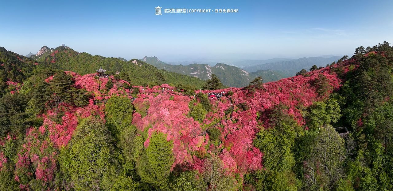 麻城龟峰山杜鹃花（图ZMzQxODI1ODQw） - 风光摄影 - 站酷设计师摄影豆豆先森ONE原创素材 - 站酷ZCOOL