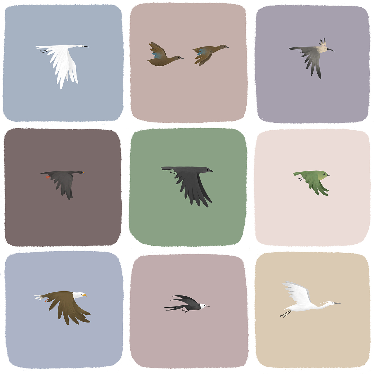 鸟（图ZMTgzMDE0MjA0） - 创作习作 - 站酷设计师Ronnn原创素材 - 站酷ZCOOL