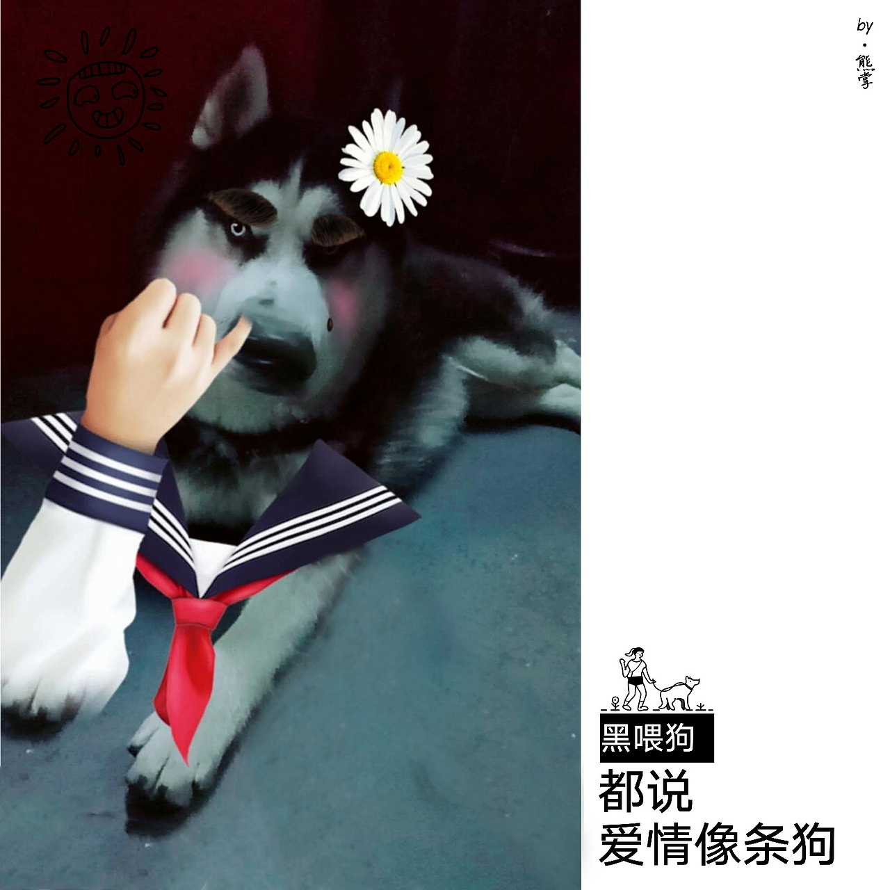 家有小叮铛铛（图ZMTA3NDAyMzMy） - 宠物摄影 - 站酷设计师亓霄伟原创素材 - 站酷ZCOOL