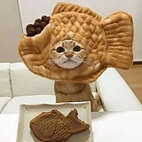 ffanr的头像