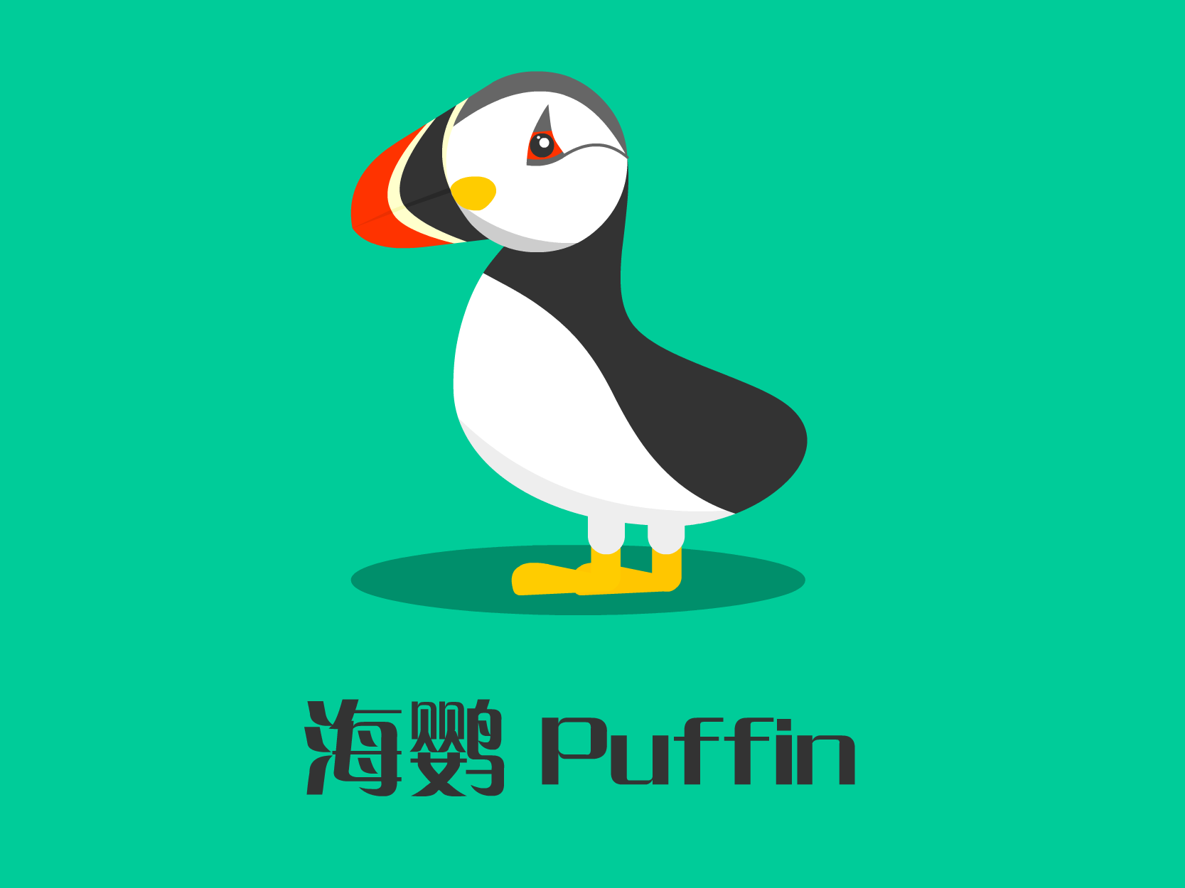 小萌物 海鹦 puffin