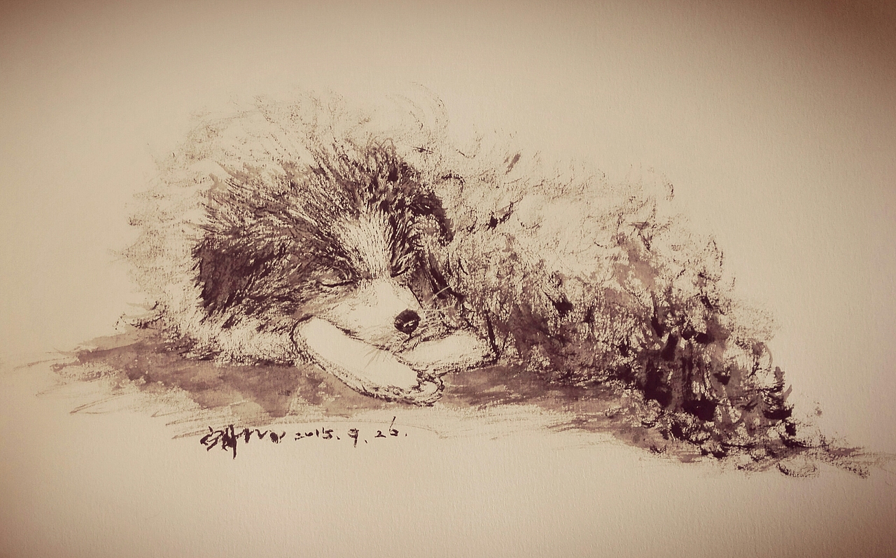 沉眠的狗（图ZNjA0ODQzMjA=） - 创作习作 - 站酷设计师空斯原创素材 - 站酷ZCOOL