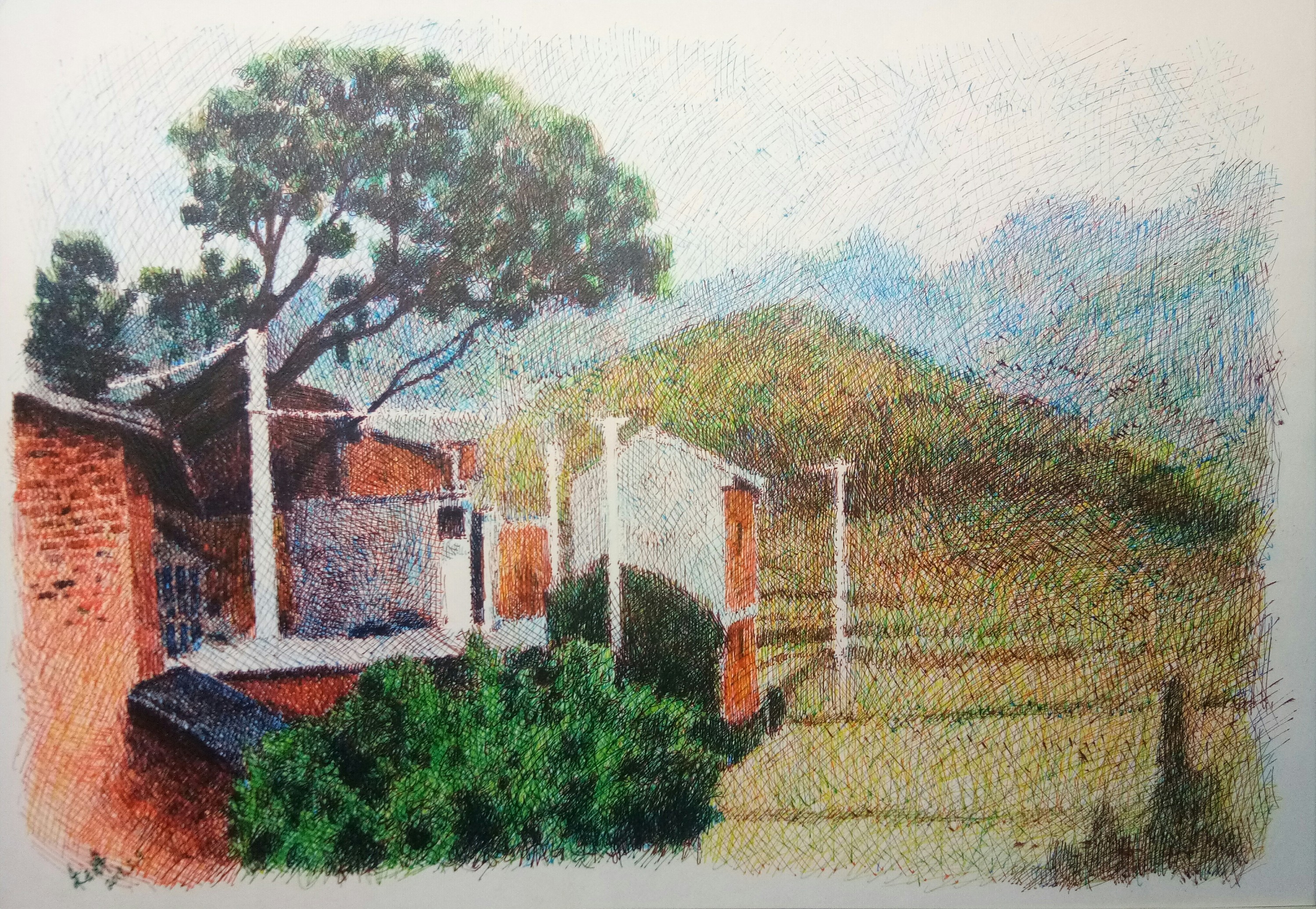 彩色钢笔画和黑白钢笔画习作