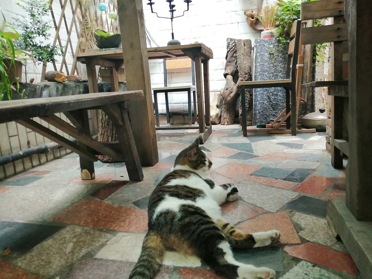 胡相思（图ZMjE0NTI0NDY4） - 人文/纪实摄影 - 站酷设计师肉肉同学ing原创素材 - 站酷ZCOOL