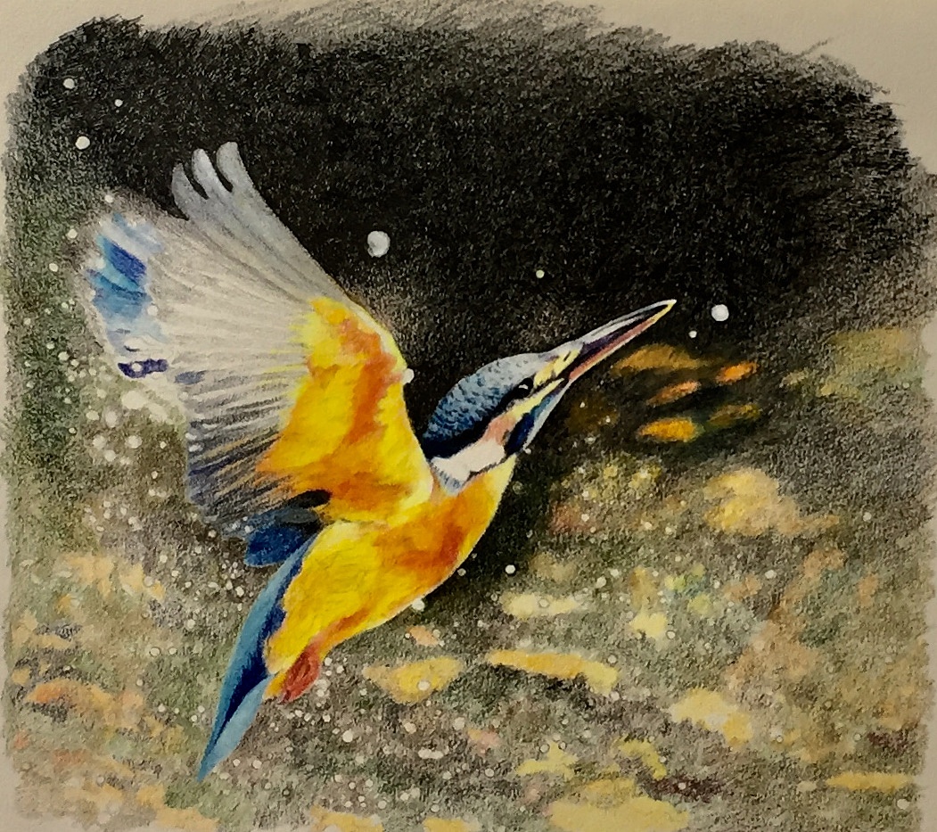 《展翅高飞》|纯艺术|彩铅|nzlarry - 原创作品 - 站酷 (zcool)