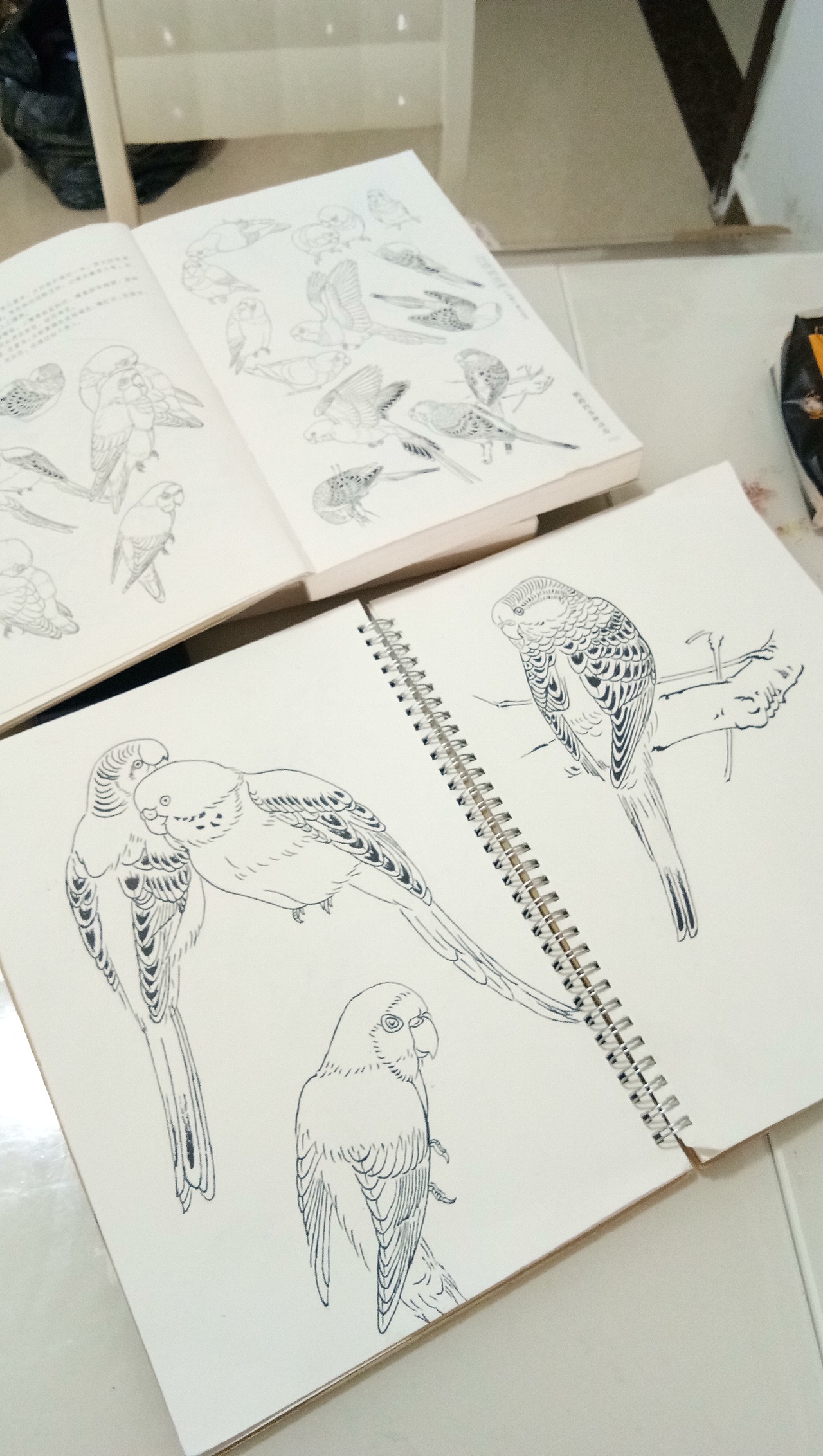 日常练习白描,希望大家多多指教,谢谢