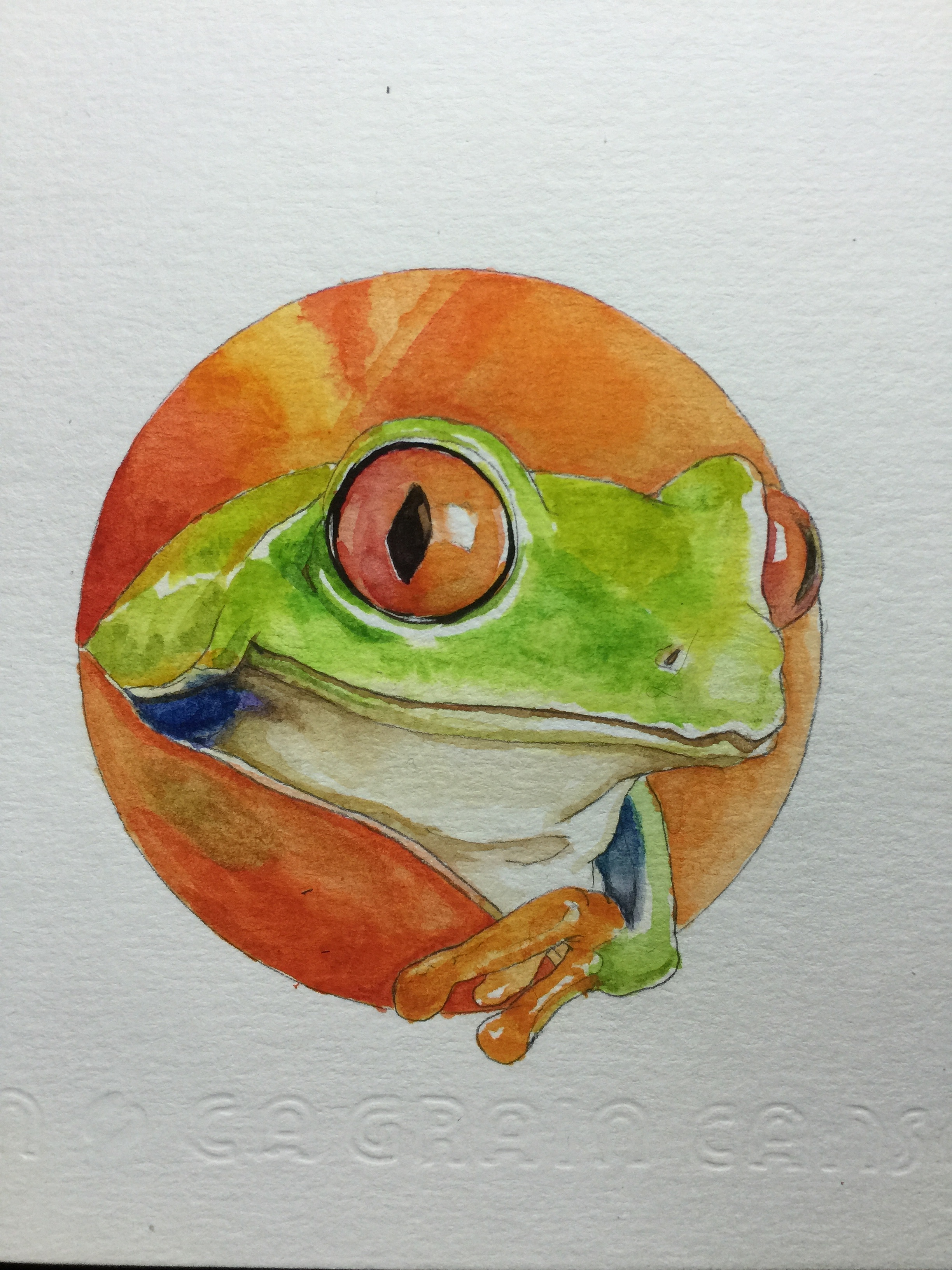 水彩蛙|纯艺术|水彩|青蛙华子 - 原创作品 - 站酷 (zcool)