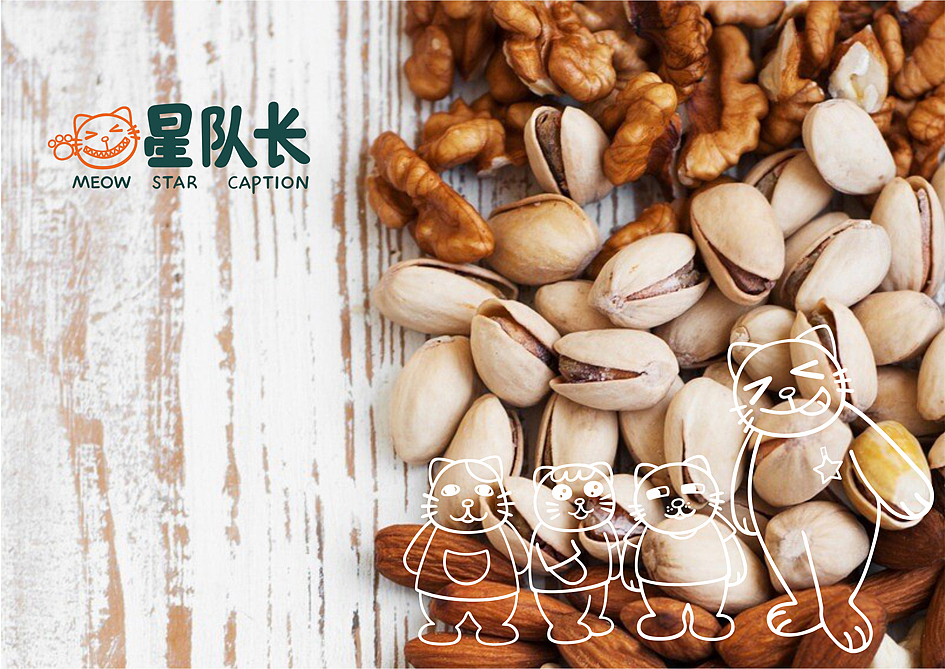 给一坚果品牌做的一个LOGO提案