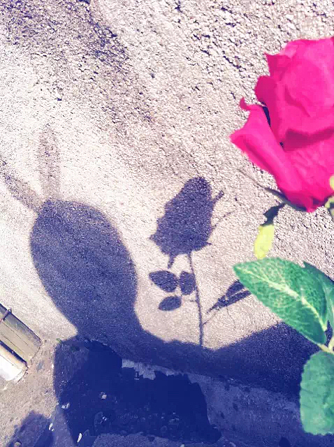 个人p（图ZNDg4OTA3Njg=） - 风光摄影 - 站酷设计师爱你的章鱼哥原创素材 - 站酷ZCOOL