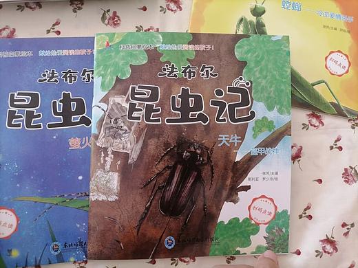 法布尔昆虫记——天牛“盔甲战神”