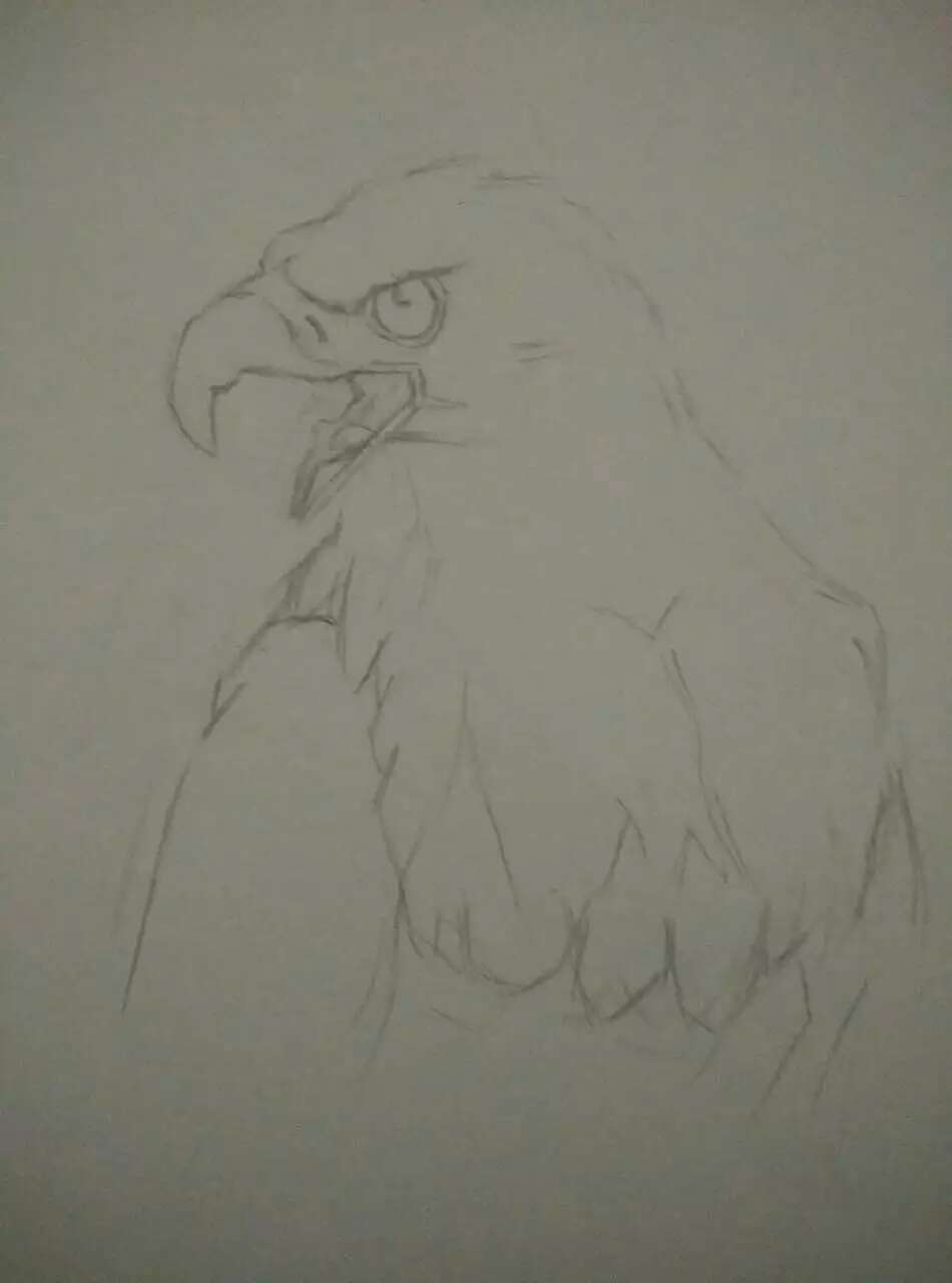 鹰击长空,鱼翔浅底!