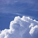 雲端视觉的头像