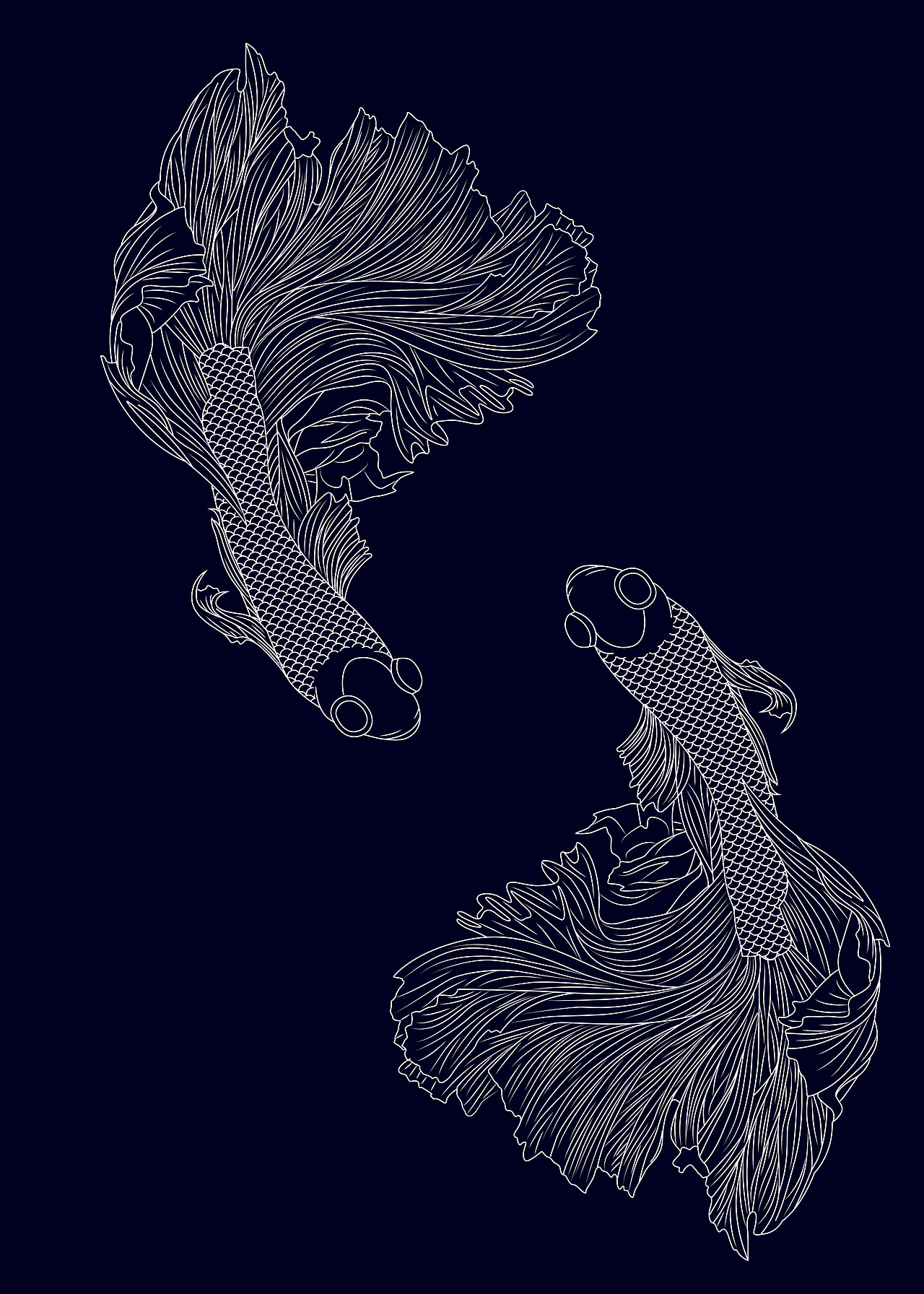 小习作之双鱼戏水