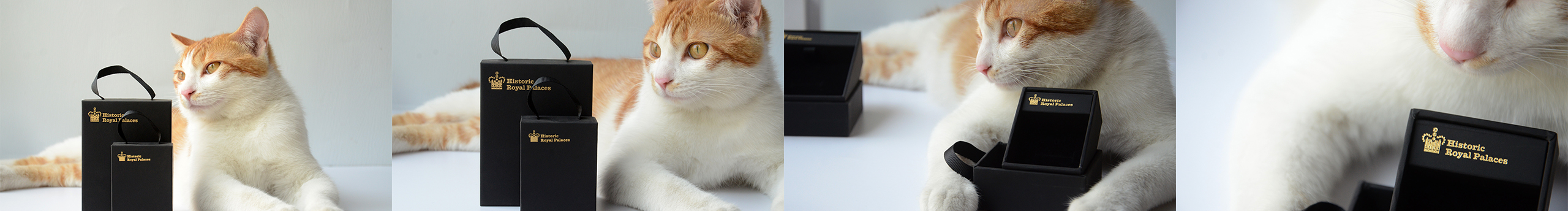 生菜包饭真好吃啊的个人主页（封面预览） - 主页封面设置 - 站酷设计师生菜包饭真好吃啊原创素材 - 站酷ZCOOL