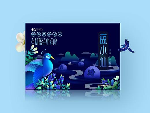 蓝小仙蓝莓果汁品牌策划包装设计