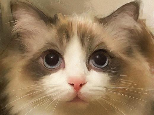 【教程】厚涂一只猫咪，真的超级可爱哇（个人主页-ZNTEwMTI0MTI=） - 创作习作 - 站酷设计师GAOMON高漫原创素材 - 站酷ZCOOL