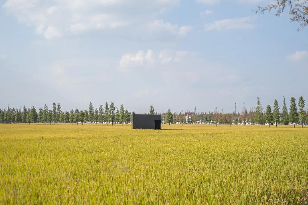 诗意栖居 大美泖田（图ZMjc3NDM0OTI4） - 风光摄影 - 站酷设计师LightHouseLAB原创素材 - 站酷ZCOOL