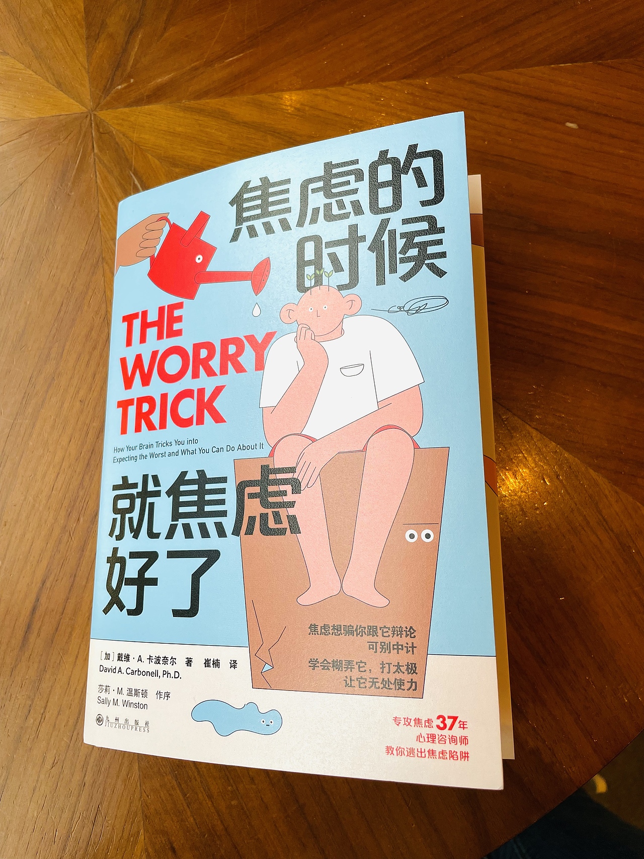 书籍封面《焦虑的时候就焦虑好了》