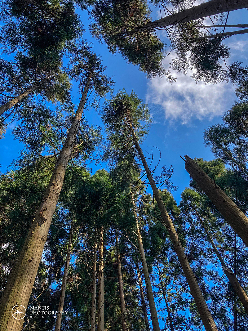 MANTIS 随拍2021（图ZMjgxNjA5NzA4） - 风光摄影 - 站酷设计师aaa62621185原创素材 - 站酷ZCOOL