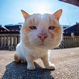 ZhaoTing95的头像