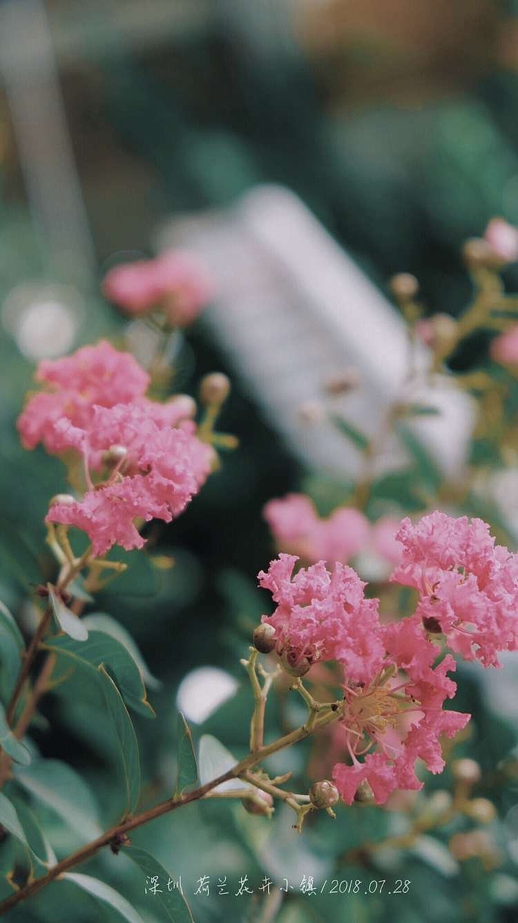 2012-2020年（图ZMjEzNTc5Mzky） - 风光摄影 - 站酷设计师九月ww原创素材 - 站酷ZCOOL