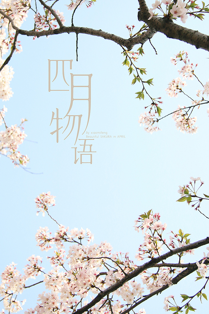 四月物語