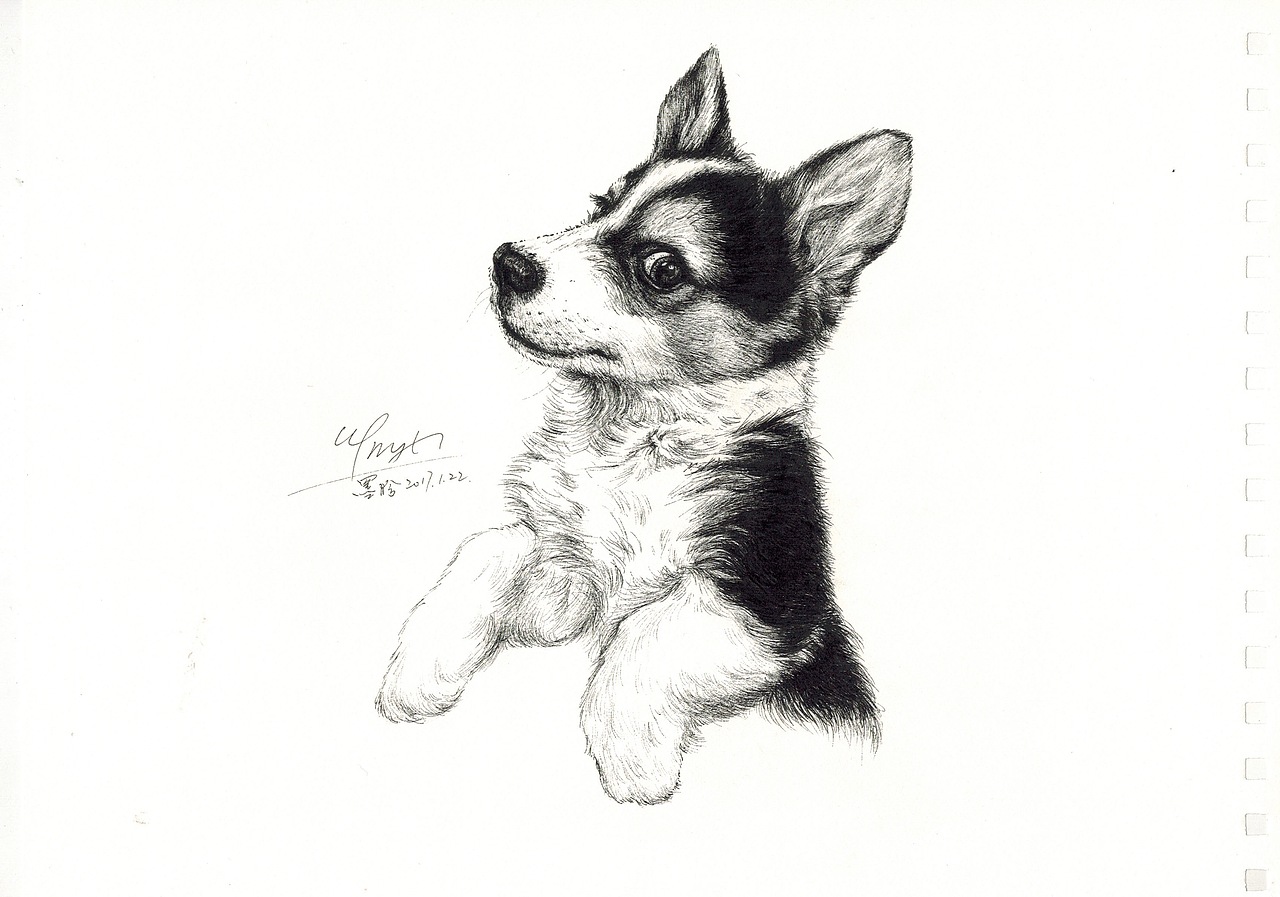 狗狗针管笔绘画（图ZNzY3OTM2MTY=） - 艺术插画 - 站酷设计师一本墨晗原创素材 - 站酷ZCOOL