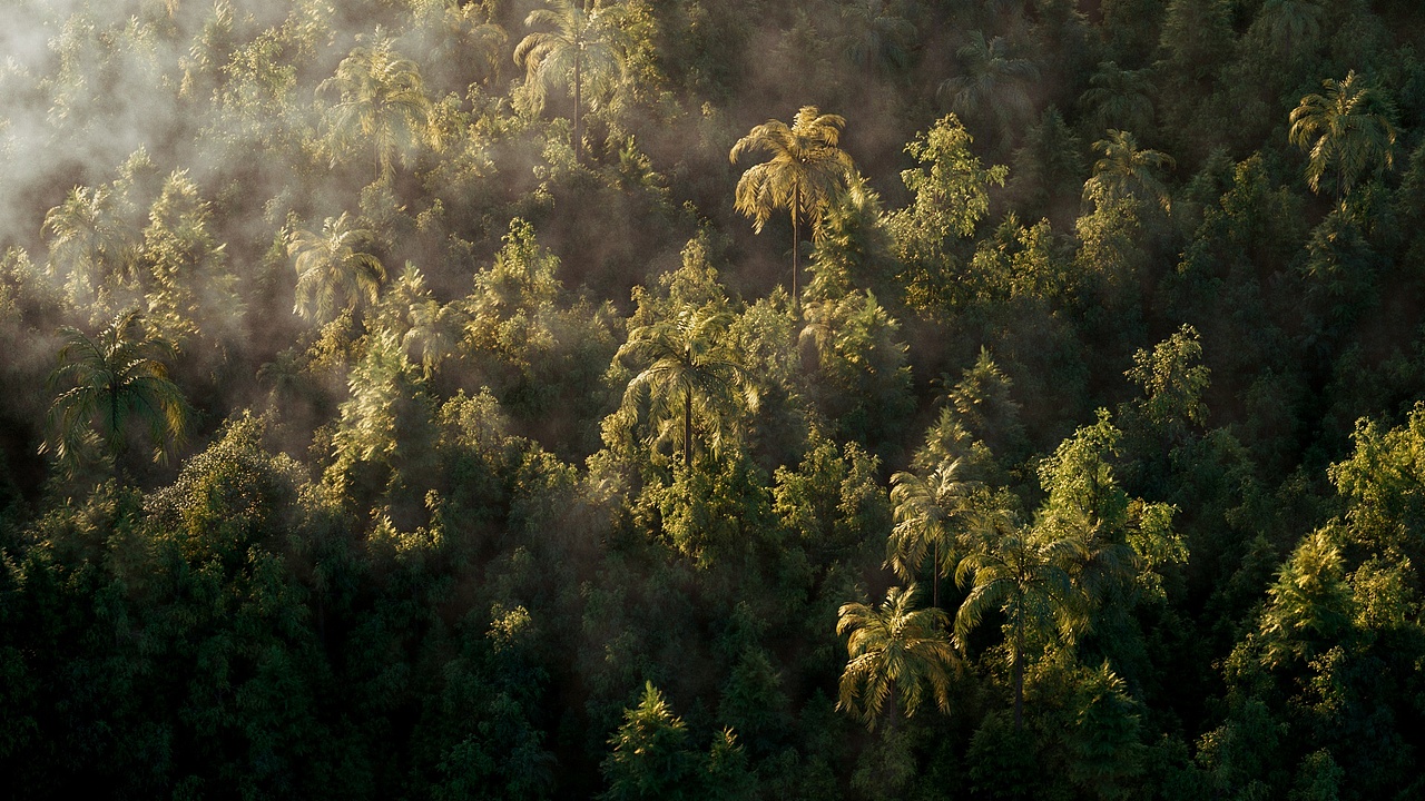 原创森林大场景（带C4D工程文件）（图ZMjYxMjc1MDUy） - 场景 - 站酷设计师aronho原创素材 - 站酷ZCOOL