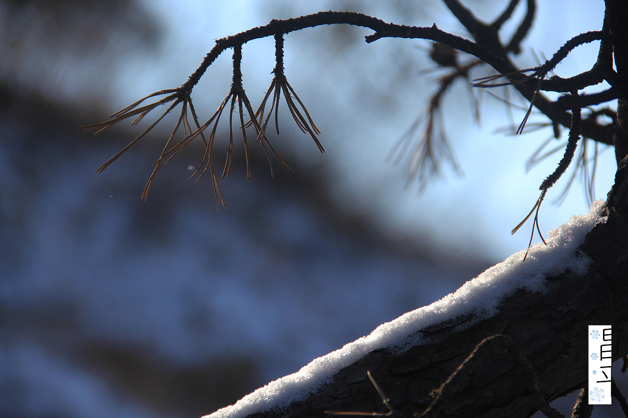 《 北山风光 》