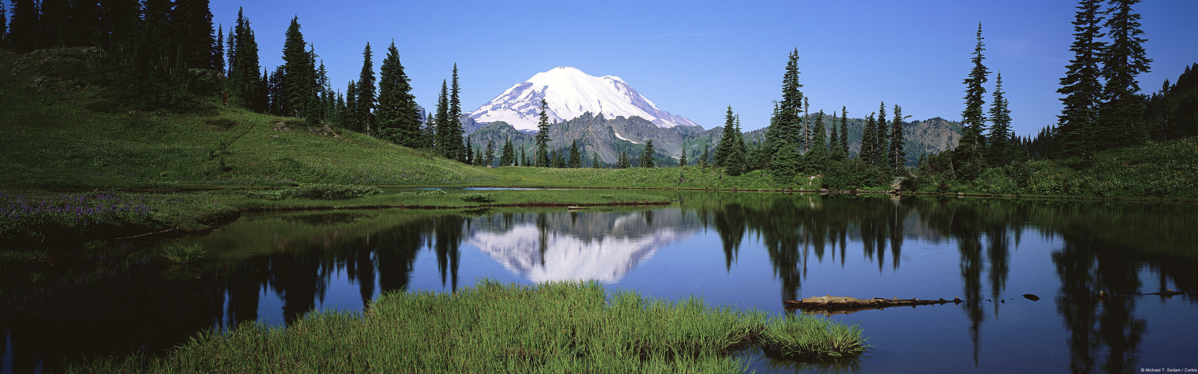 幕仙的个人主页（封面预览） - 主页封面设置 - 站酷设计师幕仙原创素材 - 站酷ZCOOL