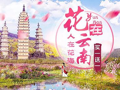 云南花开专题