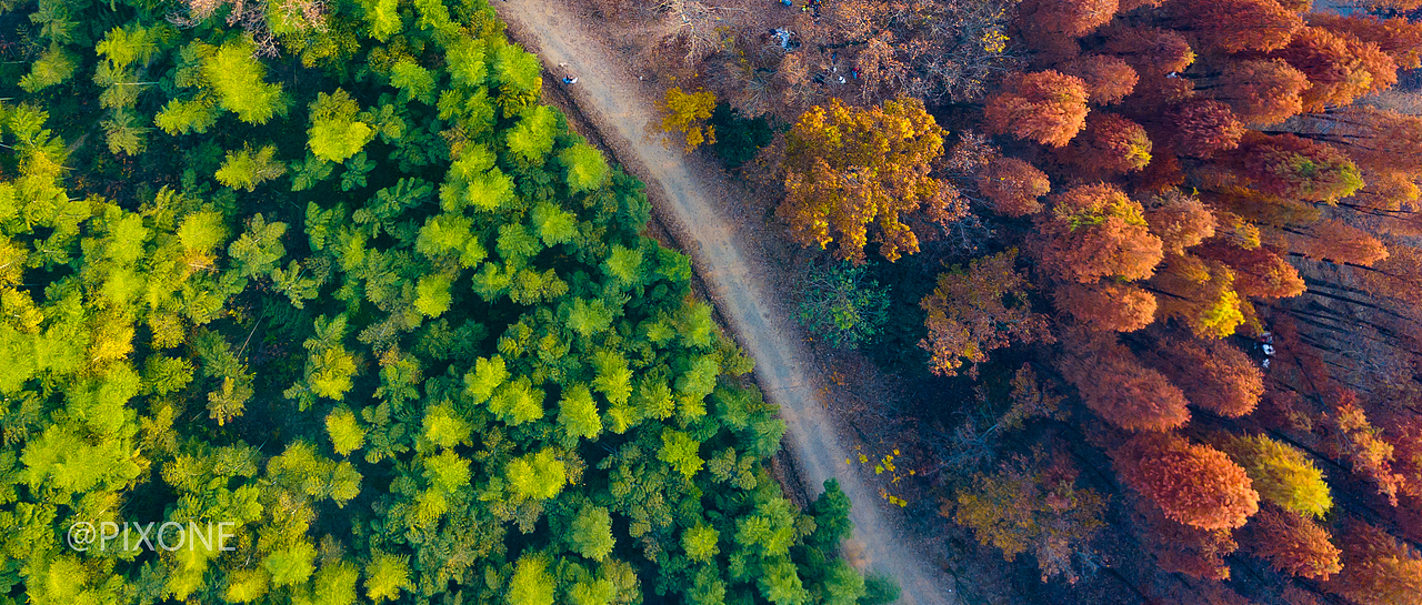 秋去春来（图ZMTM3OTU4MDQ0） - 风光摄影 - 站酷设计师PIXONE原创素材 - 站酷ZCOOL