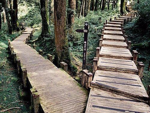  小程序海报