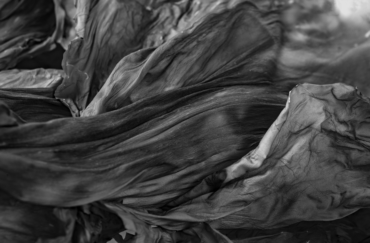 心只为此燃的个人主页（背景预览） - 主页背景设置 - 站酷设计师心只为此燃原创素材 - 站酷ZCOOL