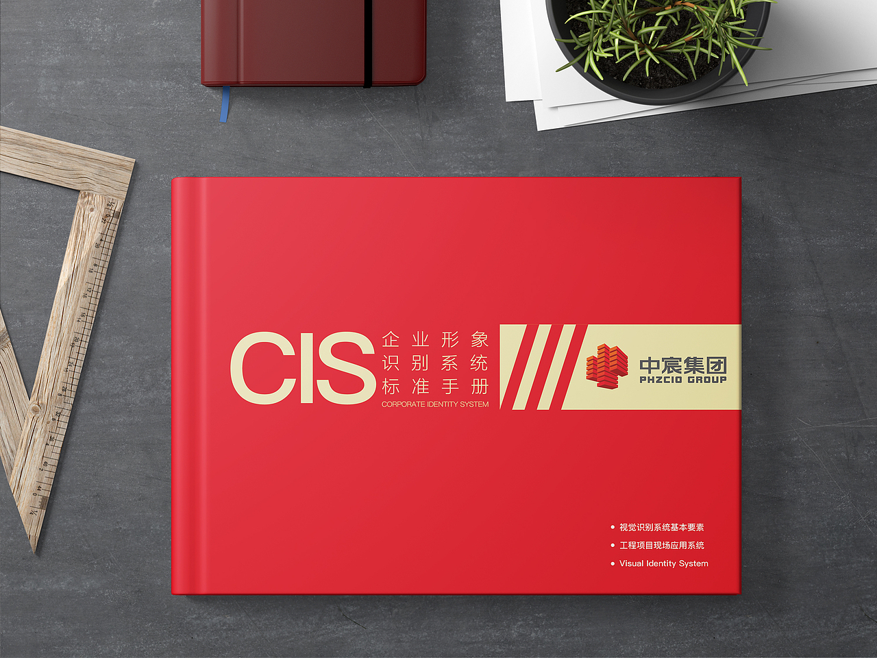 厦门中宸集团VIS系统设计