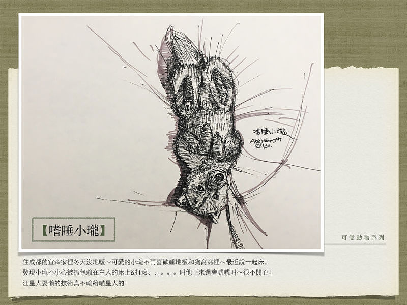【可愛動物系列】